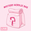 Mystery Acrylic Bag