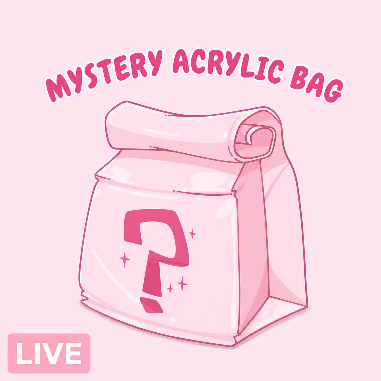 Mystery Acrylic Bag